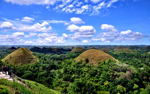 Chocolate Hills